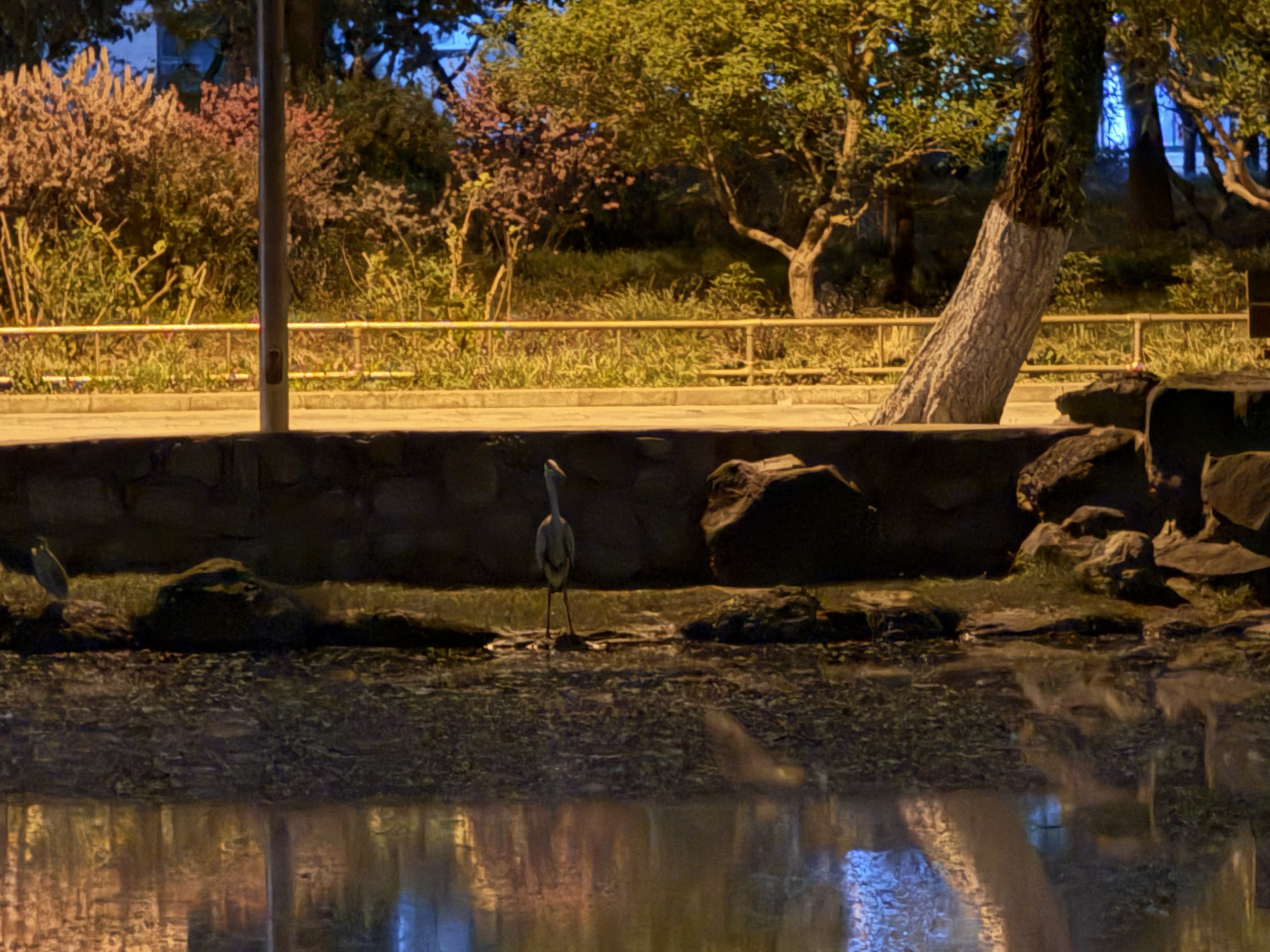 Schur Multiplier和其它